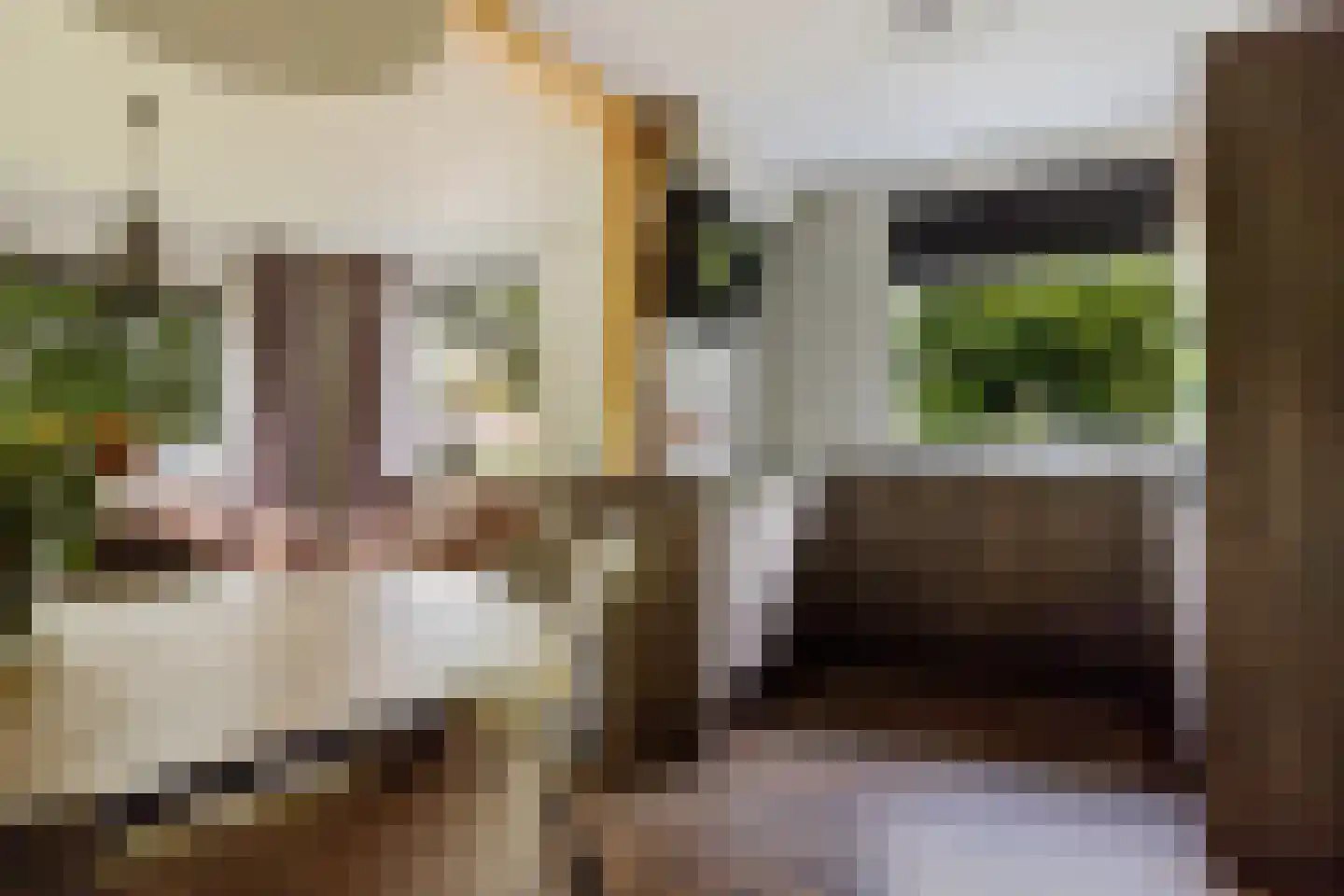 Exloërkijl-Zuid 127 2e Exloërmond thumbnail 9