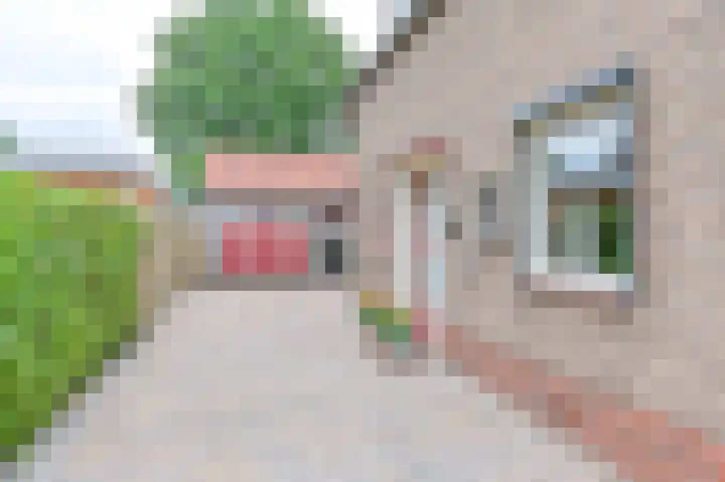Exloërkijl-Zuid 17 C 2e Exloërmond thumbnail 13
