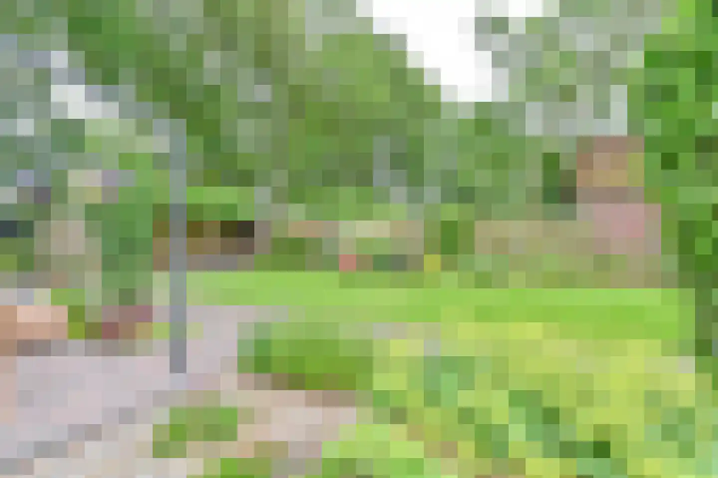 Exloërkijl-Zuid 17 C 2e Exloërmond thumbnail 79