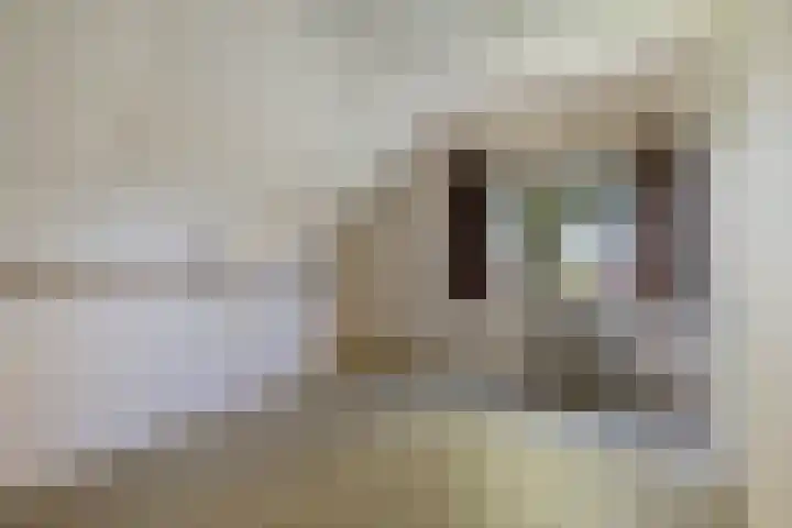Exloërkijl-Zuid 17 E 2e Exloërmond thumbnail 20