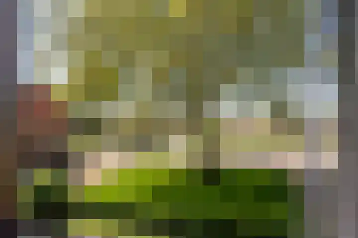 Exloërkijl-Zuid 17 E 2e Exloërmond thumbnail 21