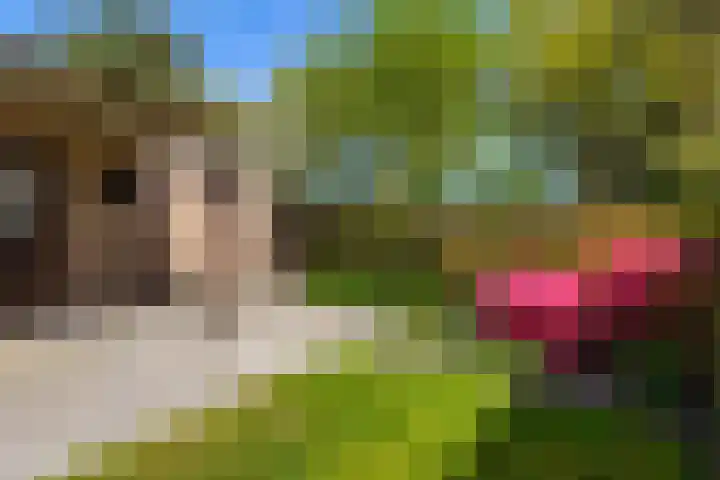 Exloërkijl-Zuid 17 E 2e Exloërmond thumbnail 22