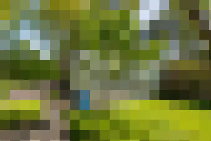 Exloërkijl-Zuid 17 E 2e Exloërmond thumbnail 23