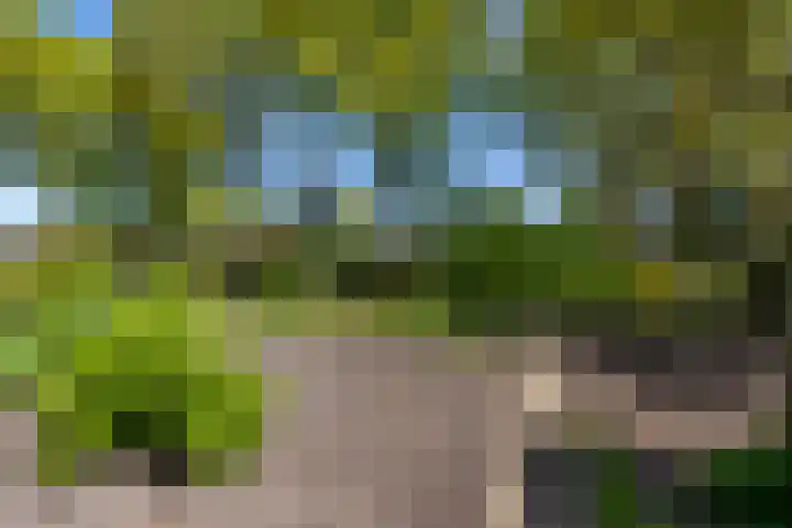 Exloërkijl-Zuid 17 E 2e Exloërmond thumbnail 24