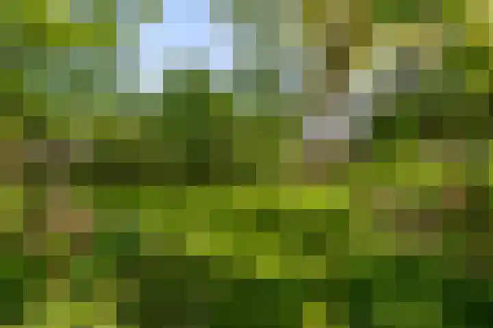 Exloërkijl-Zuid 17 E 2e Exloërmond thumbnail 25
