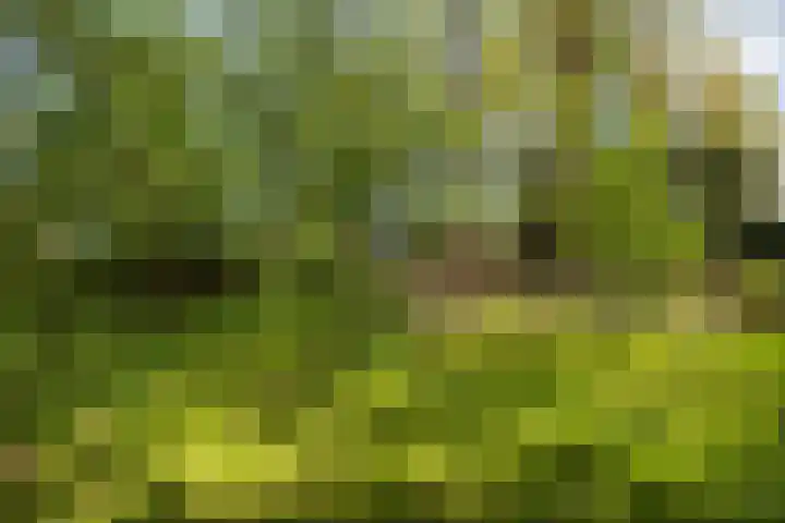 Exloërkijl-Zuid 17 E 2e Exloërmond thumbnail 26