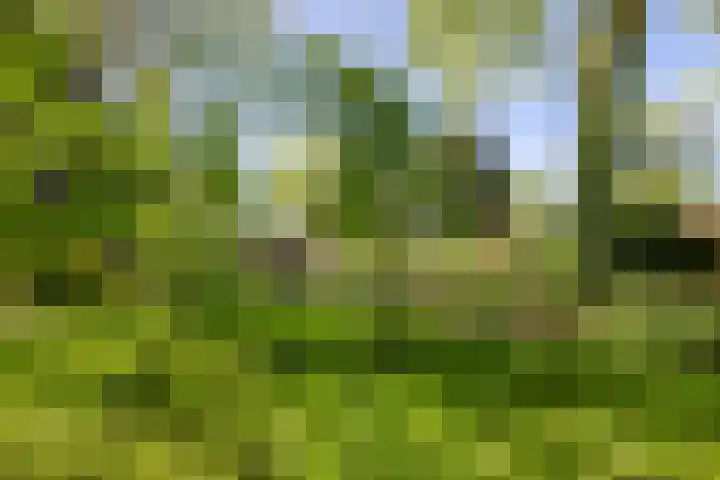 Exloërkijl-Zuid 17 E 2e Exloërmond thumbnail 27