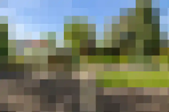 Exloërkijl-Zuid 17 E 2e Exloërmond thumbnail 28