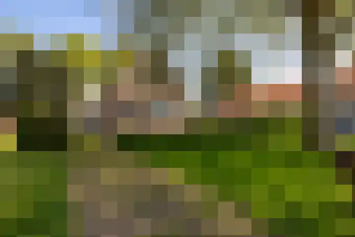 Exloërkijl-Zuid 17 E 2e Exloërmond thumbnail 30