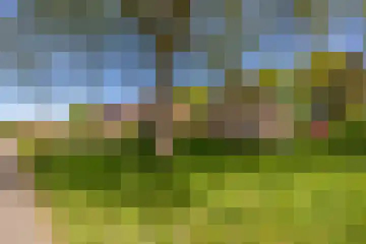 Exloërkijl-Zuid 17 E 2e Exloërmond thumbnail 31