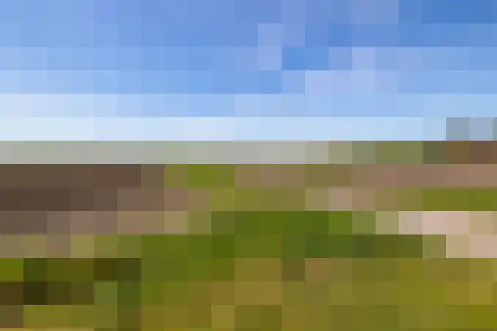 Exloërkijl-Zuid 17 E 2e Exloërmond thumbnail 33