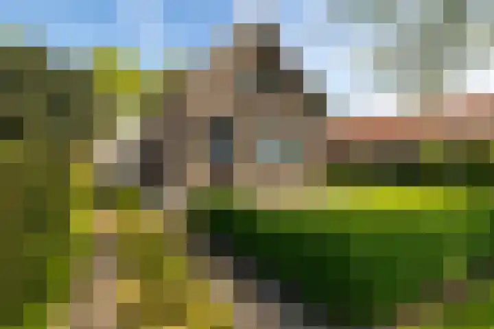 Exloërkijl-Zuid 17 E 2e Exloërmond thumbnail 38
