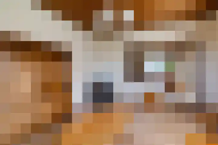 Exloërkijl-Zuid 17 E 2e Exloërmond thumbnail 6