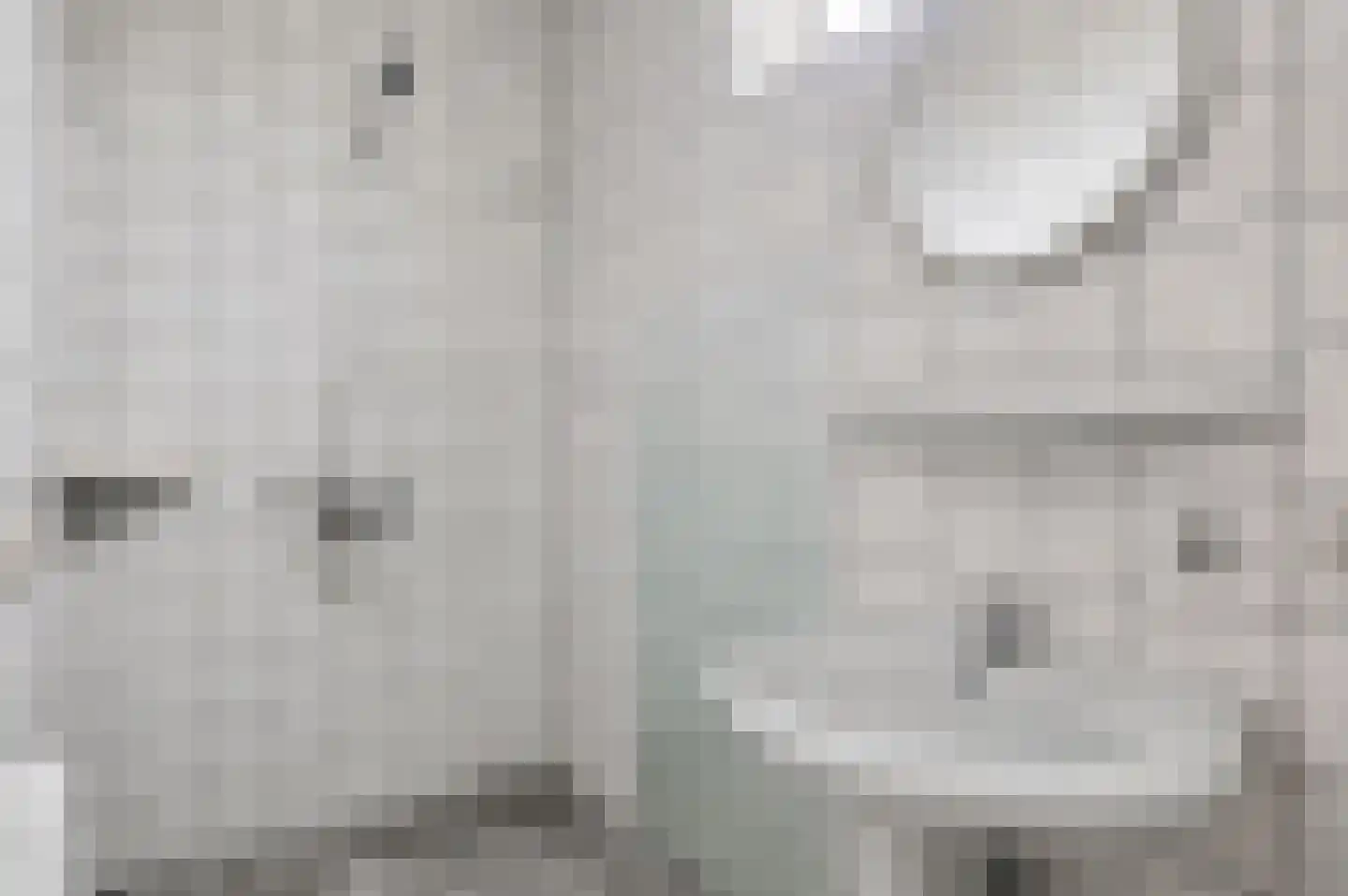 Exloërkijl-Zuid 31 2e Exloërmond thumbnail 18