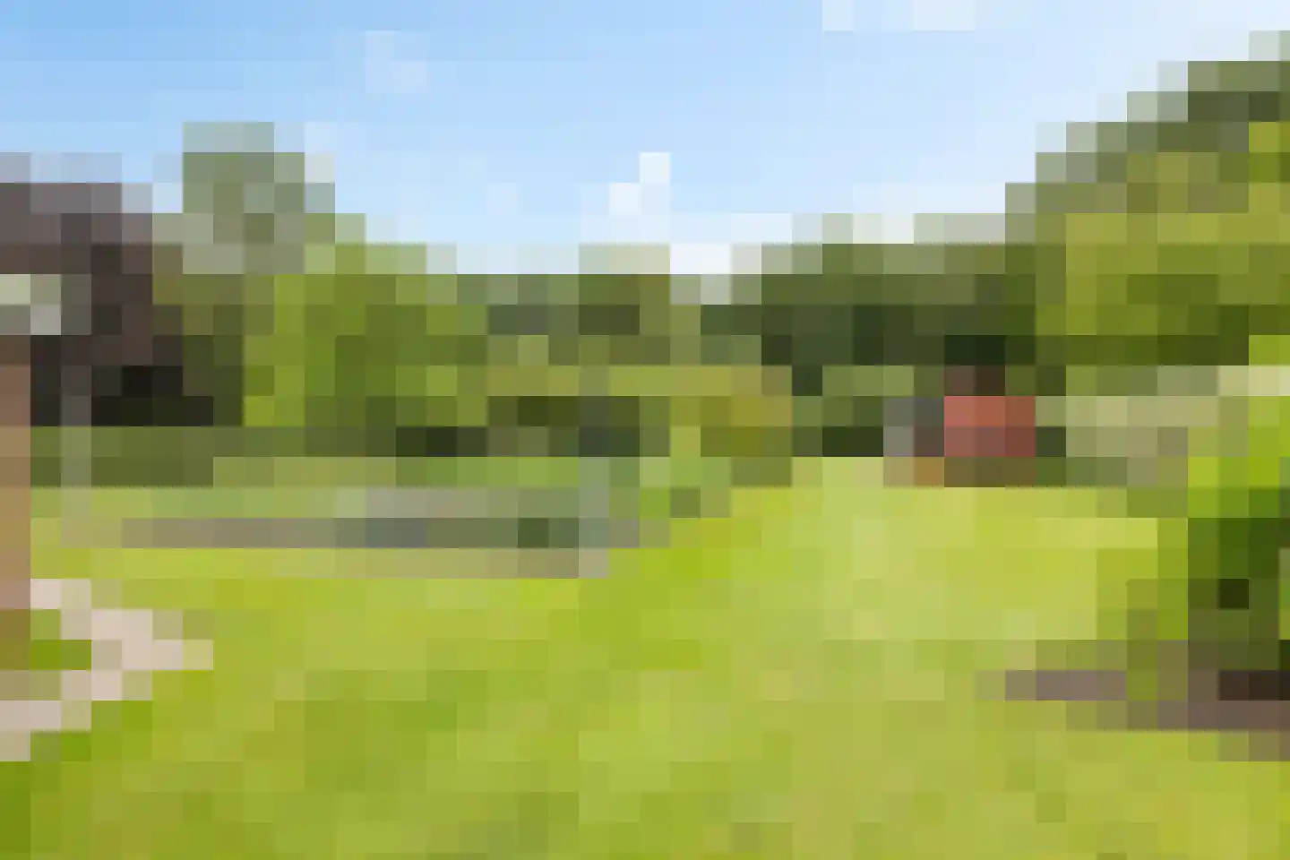 Exloërkijl-Zuid 31 2e Exloërmond thumbnail 36