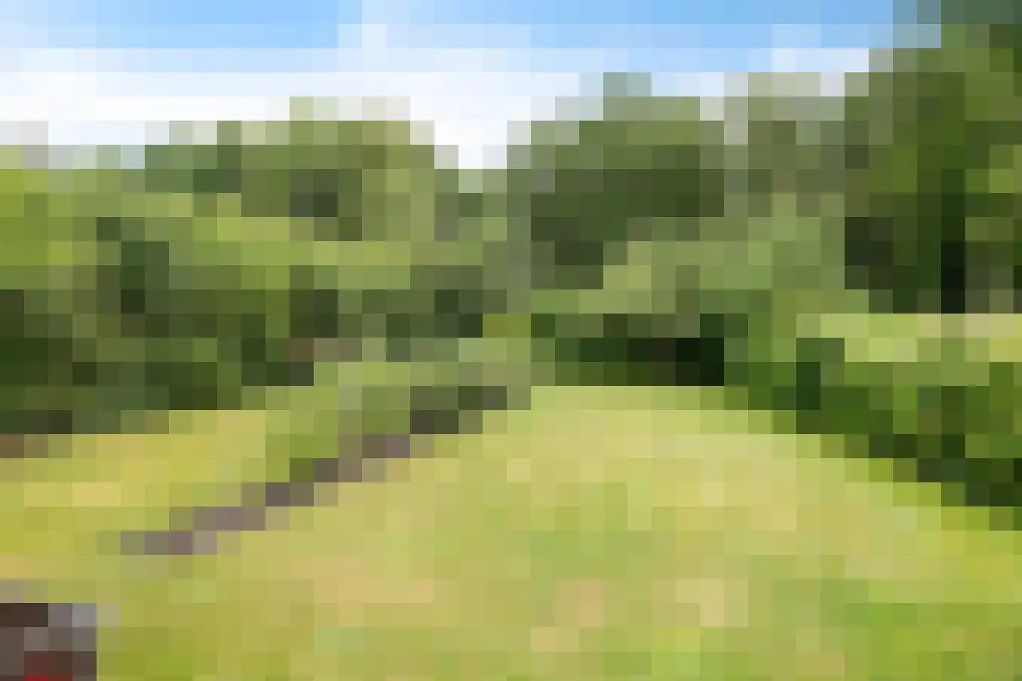 Exloërkijl-Zuid 31 2e Exloërmond thumbnail 37