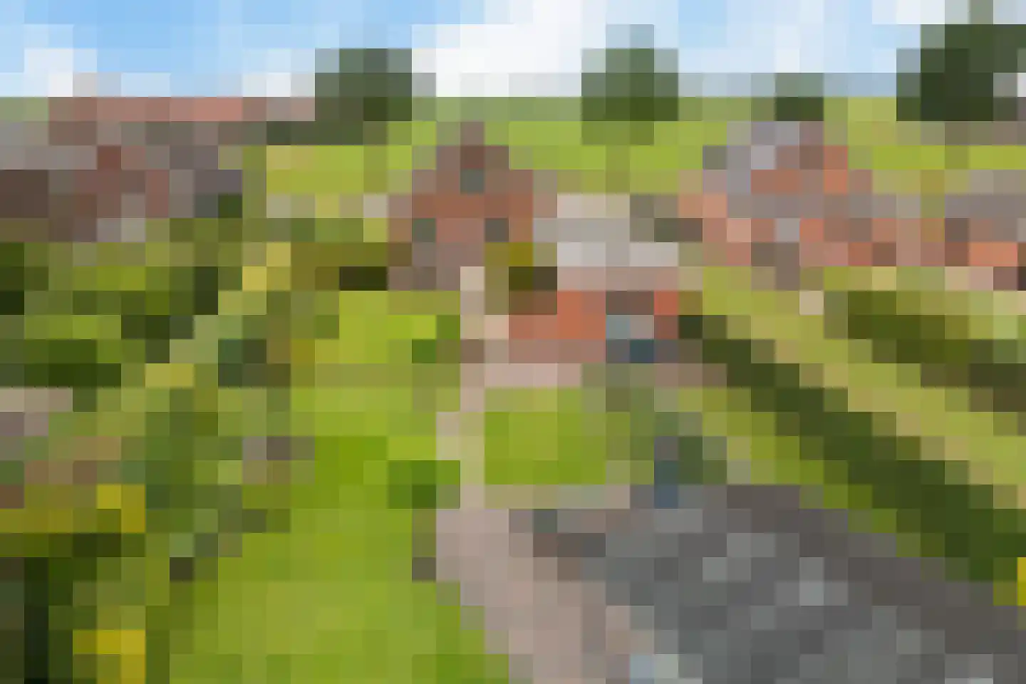 Exloërkijl-Zuid 31 2e Exloërmond thumbnail 39