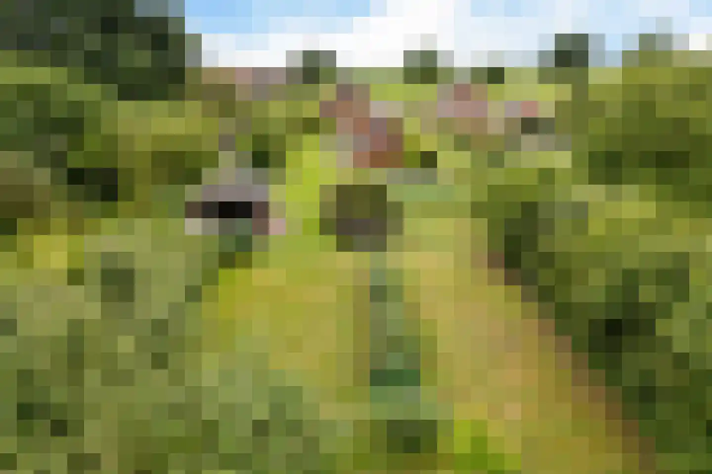Exloërkijl-Zuid 31 2e Exloërmond thumbnail 40