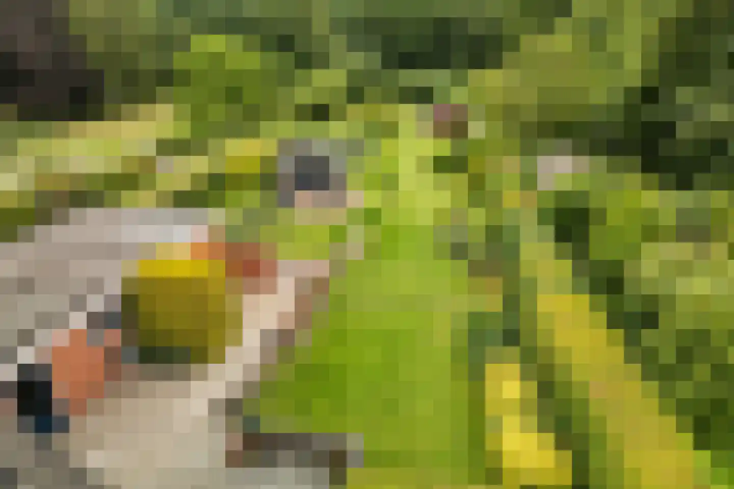 Exloërkijl-Zuid 31 2e Exloërmond thumbnail 42