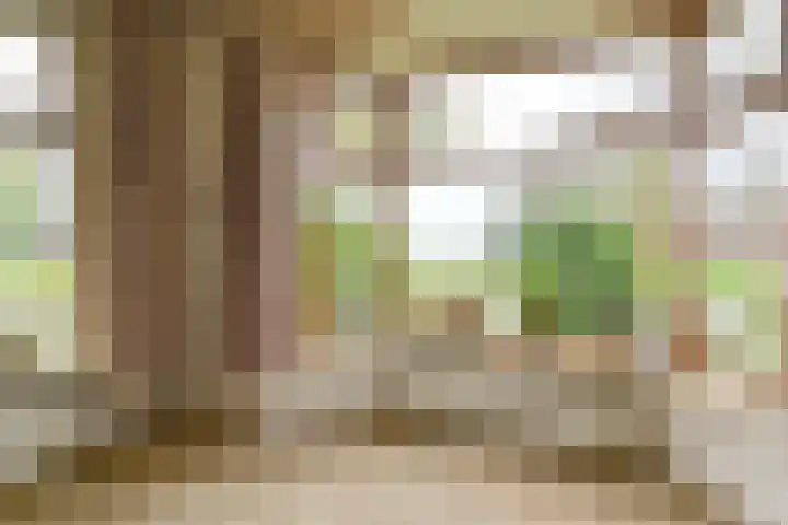 Exloërkijl-Zuid 48 2e Exloërmond thumbnail 11