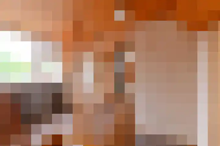Exloërkijl-Zuid 48 2e Exloërmond thumbnail 33