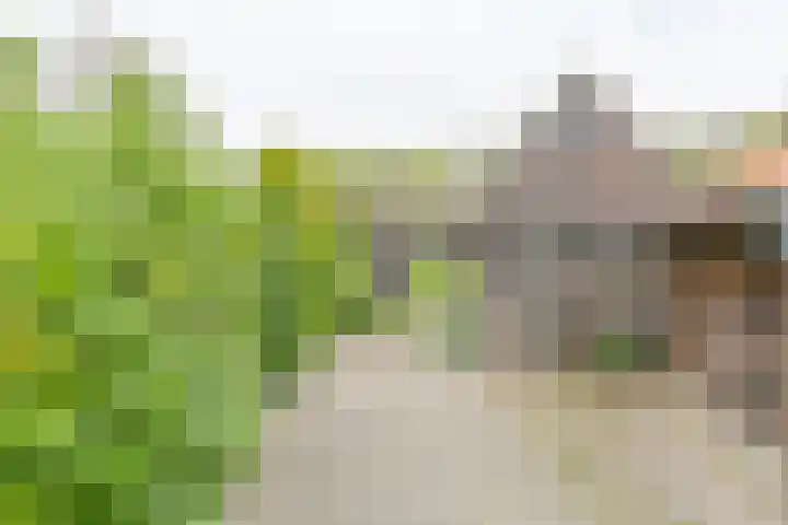Exloërkijl-Zuid 48 2e Exloërmond thumbnail 55