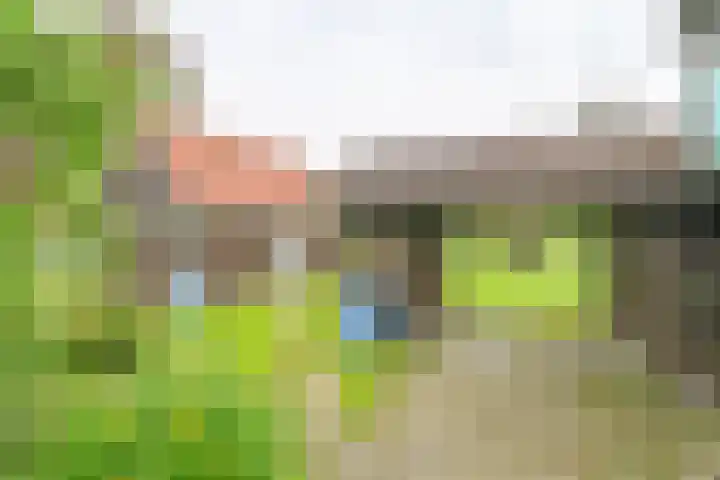 Exloërkijl-Zuid 48 2e Exloërmond thumbnail 56