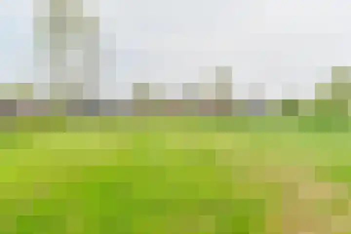 Exloërkijl-Zuid 48 2e Exloërmond thumbnail 57