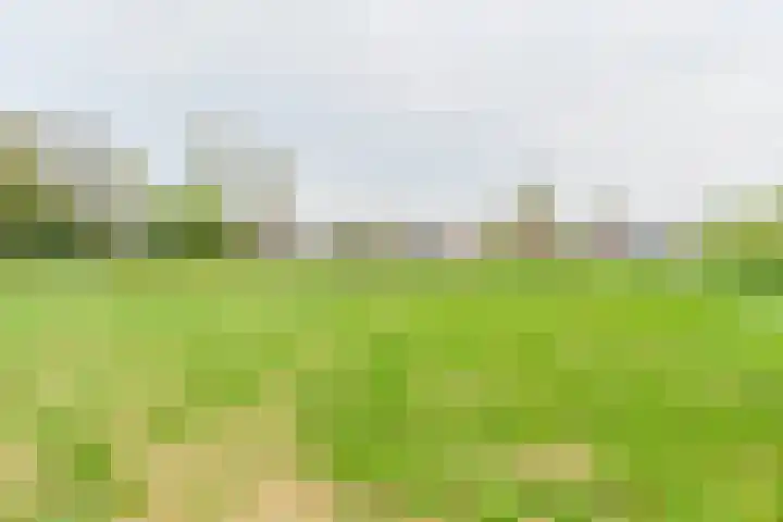Exloërkijl-Zuid 48 2e Exloërmond thumbnail 58