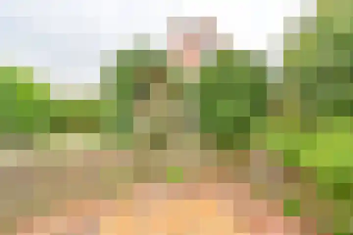 Exloërkijl-Zuid 48 2e Exloërmond thumbnail 62