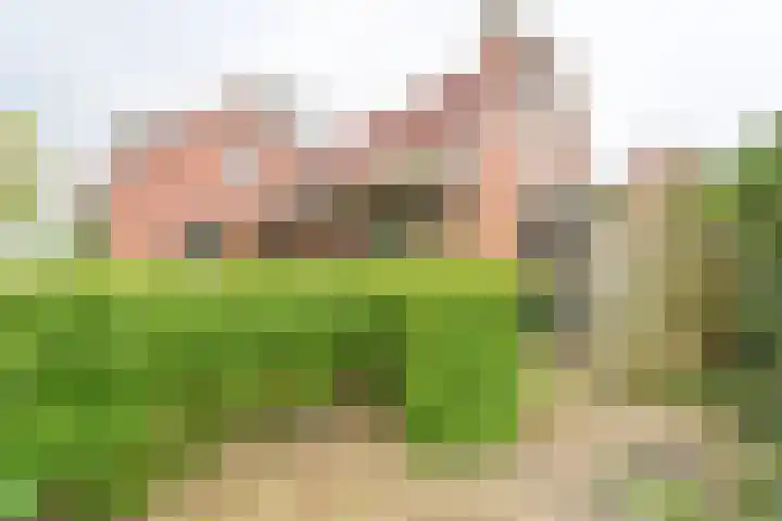 Exloërkijl-Zuid 48 2e Exloërmond thumbnail 63