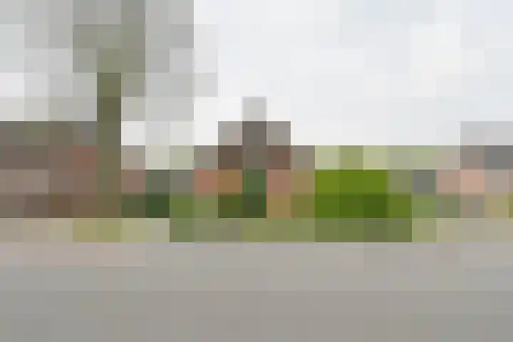 Exloërkijl-Zuid 48 2e Exloërmond thumbnail 69