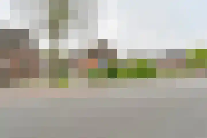 Exloërkijl-Zuid 48 2e Exloërmond thumbnail 70