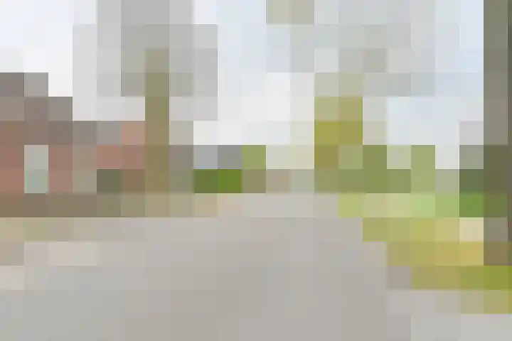 Exloërkijl-Zuid 48 2e Exloërmond thumbnail 71