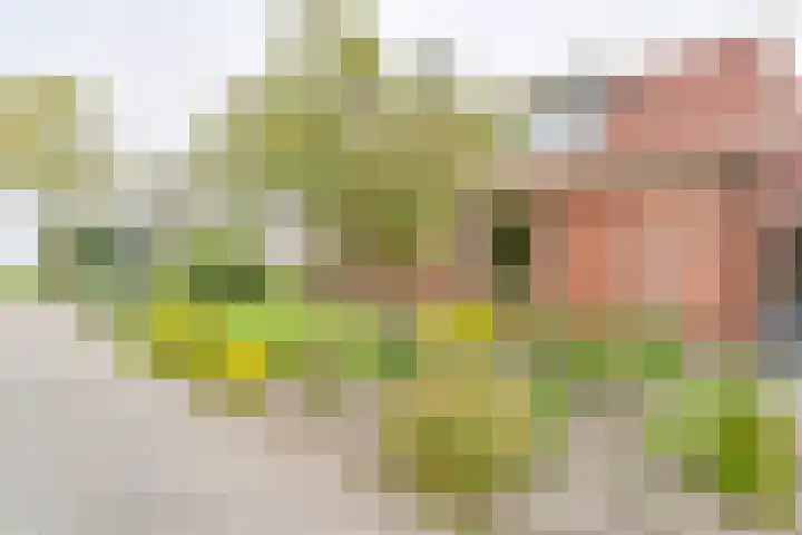 Exloërkijl-Zuid 48 2e Exloërmond thumbnail 72