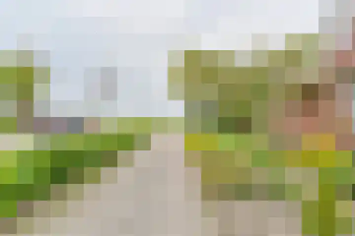 Exloërkijl-Zuid 48 2e Exloërmond thumbnail 73
