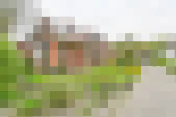 Exloërkijl-Zuid 48 2e Exloërmond thumbnail 78