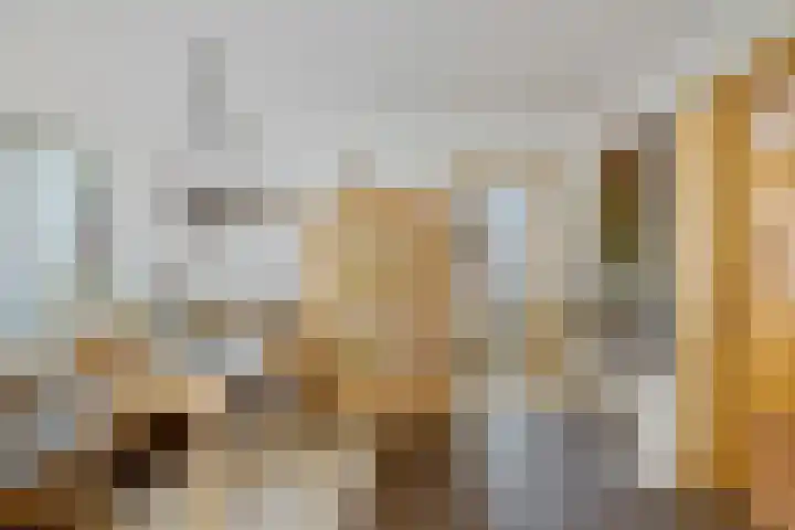 Exloërkijl-Zuid 71 B 2e Exloërmond thumbnail 12