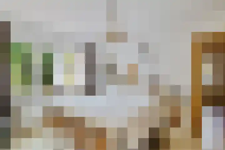 Exloërkijl-Zuid 71 B 2e Exloërmond thumbnail 14