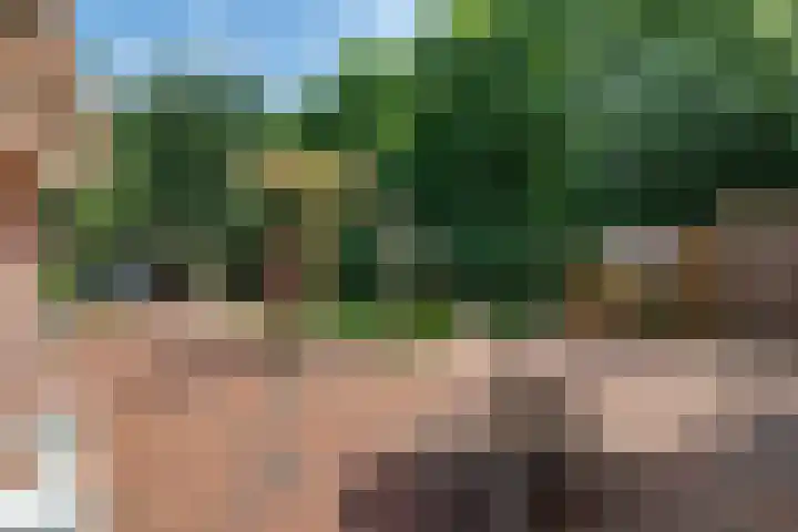 Exloërkijl-Zuid 71 B 2e Exloërmond thumbnail 24