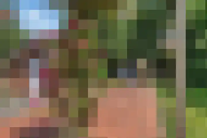 Exloërkijl-Zuid 71 B 2e Exloërmond thumbnail 26