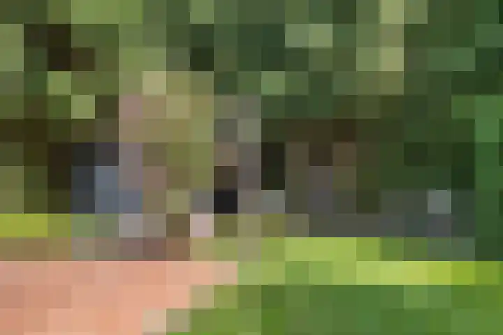 Exloërkijl-Zuid 71 B 2e Exloërmond thumbnail 27