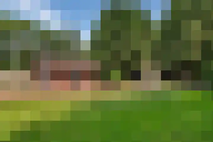 Exloërkijl-Zuid 71 B 2e Exloërmond thumbnail 28