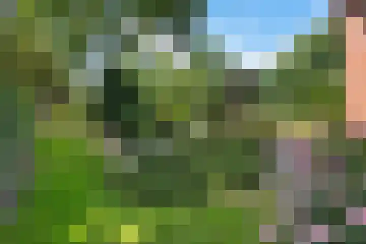 Exloërkijl-Zuid 71 B 2e Exloërmond thumbnail 29