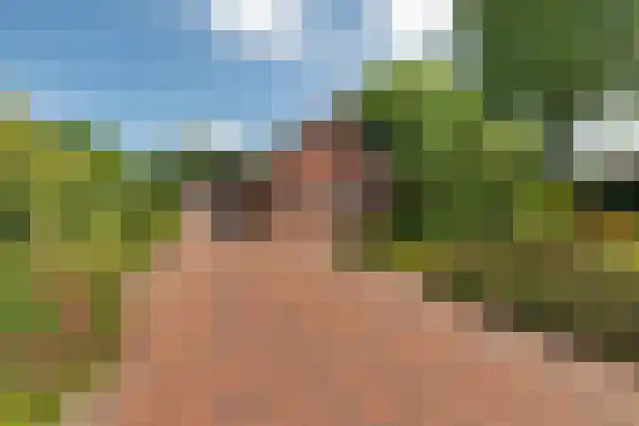 Exloërkijl-Zuid 71 B 2e Exloërmond thumbnail 32