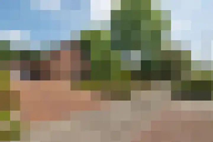 Exloërkijl-Zuid 71 B 2e Exloërmond thumbnail 34