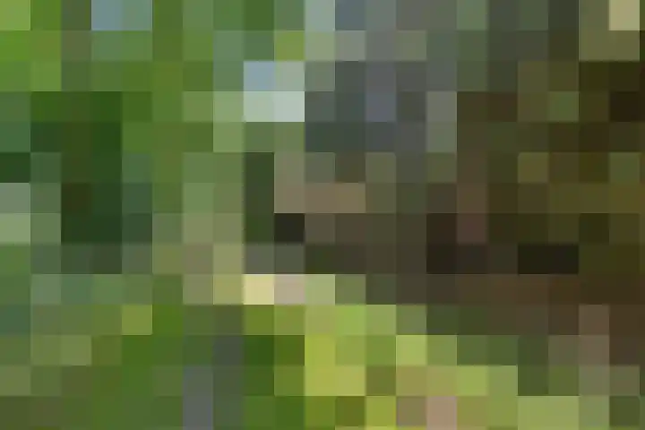 Exloërkijl-Zuid 71 B 2e Exloërmond thumbnail 35