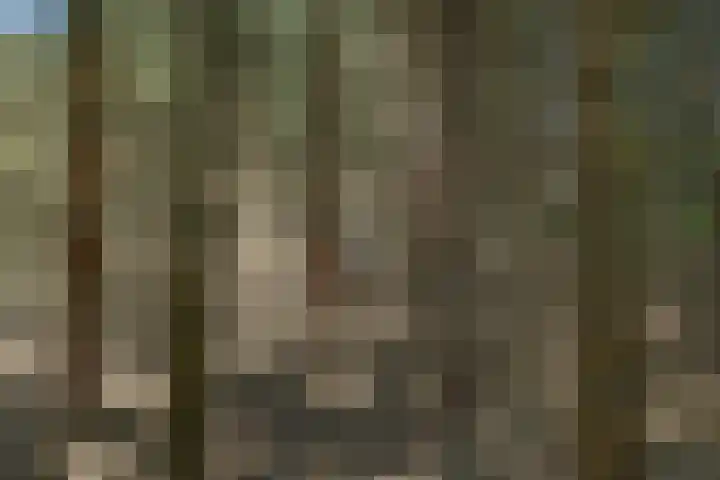 Exloërkijl-Zuid 71 B 2e Exloërmond thumbnail 36