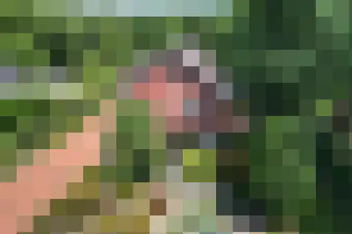 Exloërkijl-Zuid 71 B 2e Exloërmond thumbnail 37