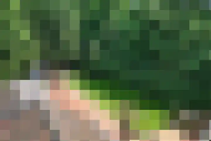 Exloërkijl-Zuid 71 B 2e Exloërmond thumbnail 38
